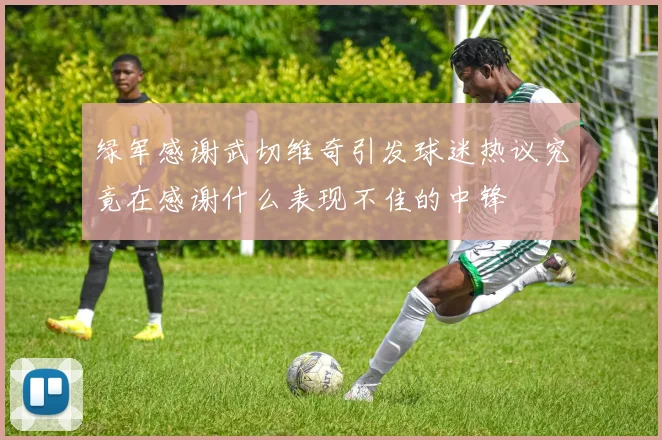 绿军感谢武切维奇引发球迷热议究竟在感谢什么表现不佳的中锋