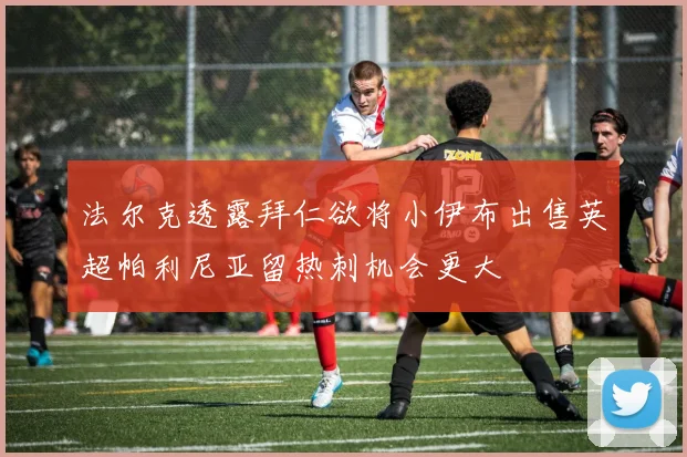 法尔克透露拜仁欲将小伊布出售英超帕利尼亚留热刺机会更大