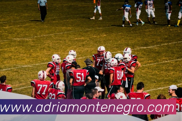 App 展示图
